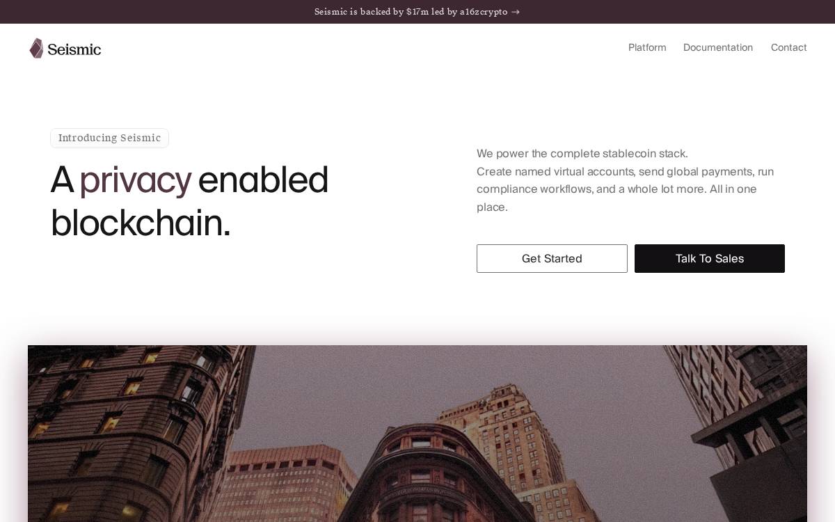 Seismic Systems website preview