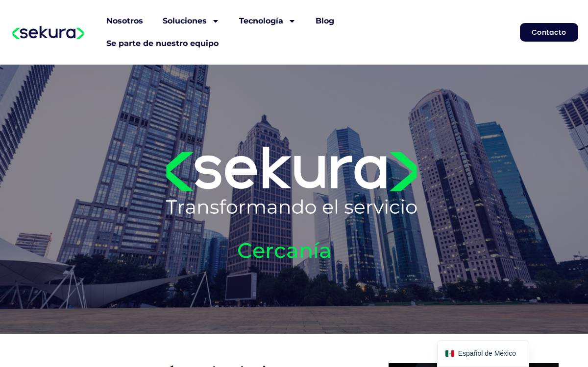 Sekura website preview