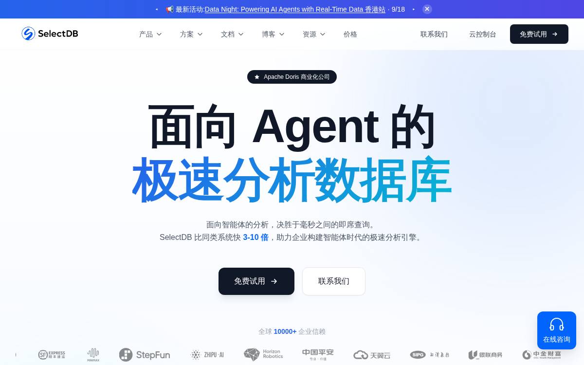 SelectDB website preview