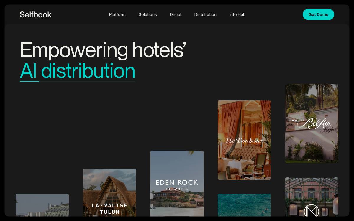 Selfbook website preview