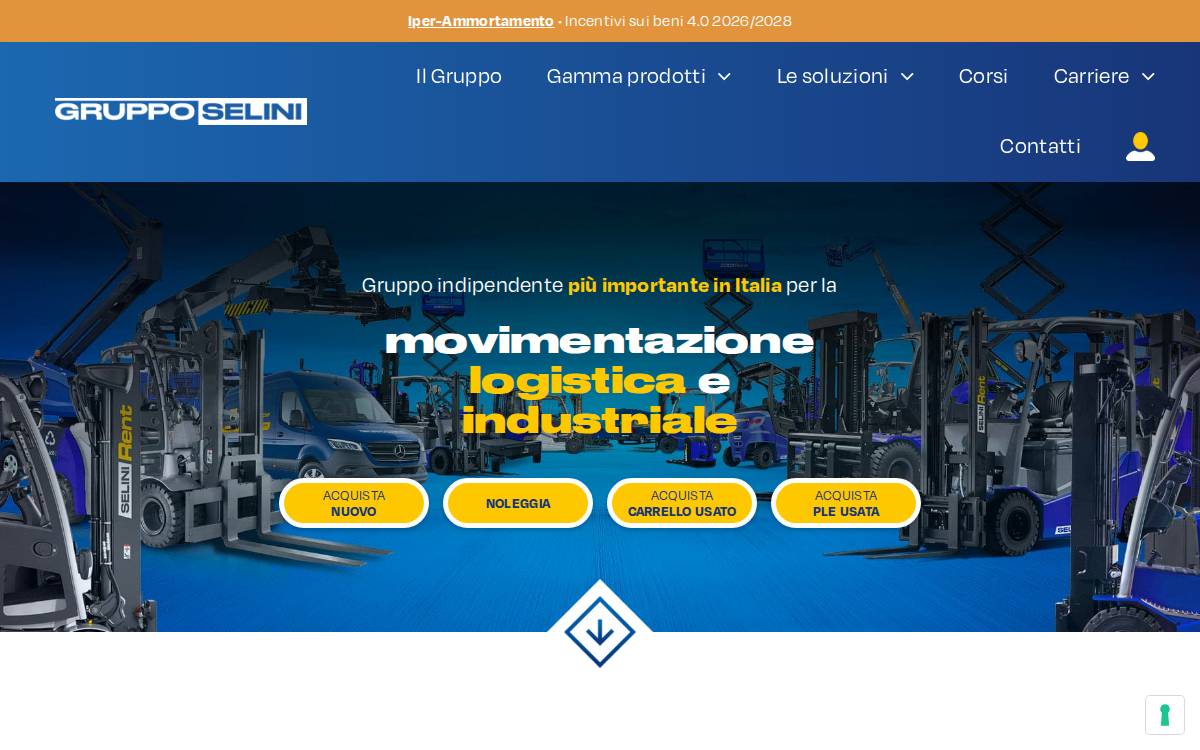 Selini website preview