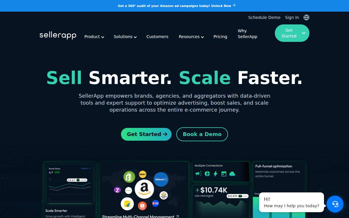 SellerApp website preview