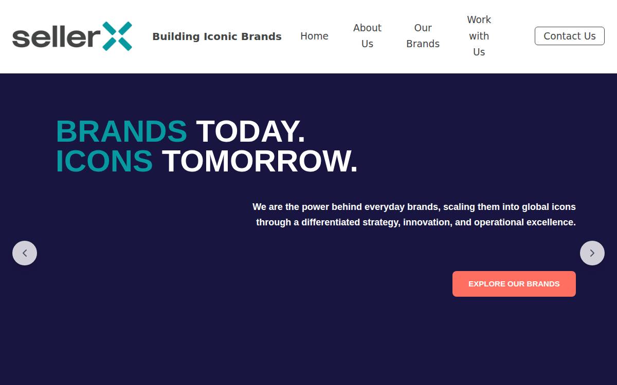 Sellerx website preview
