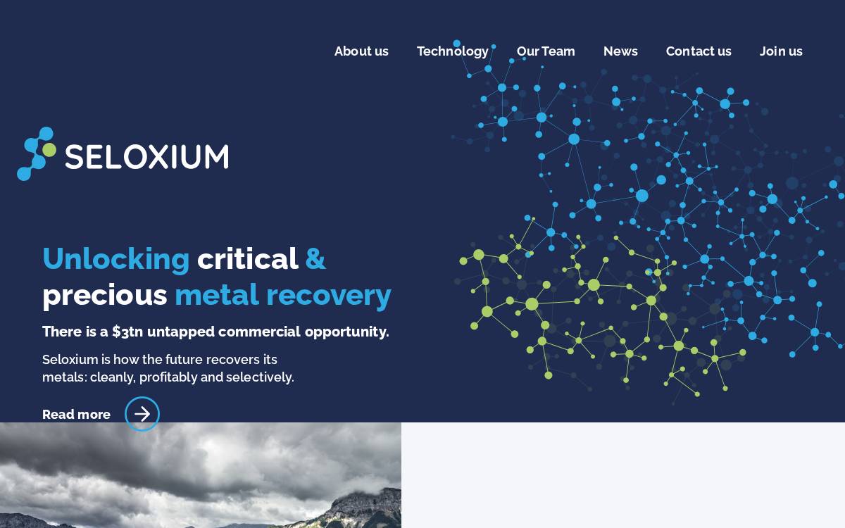 Seloxium website preview