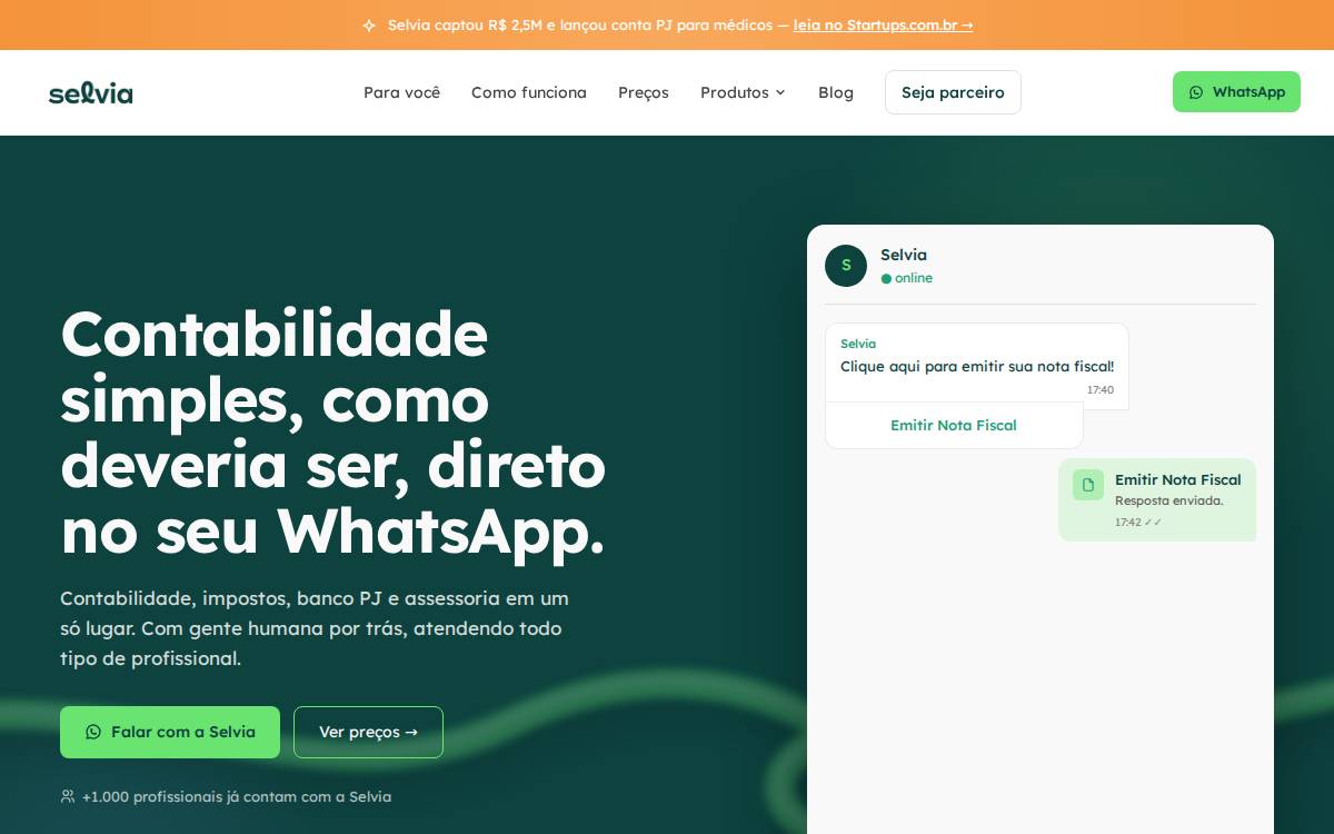 Selvia website preview