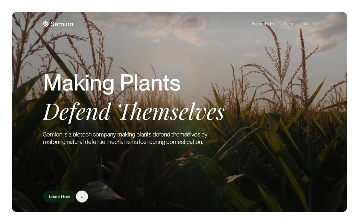 Semion Bio website preview
