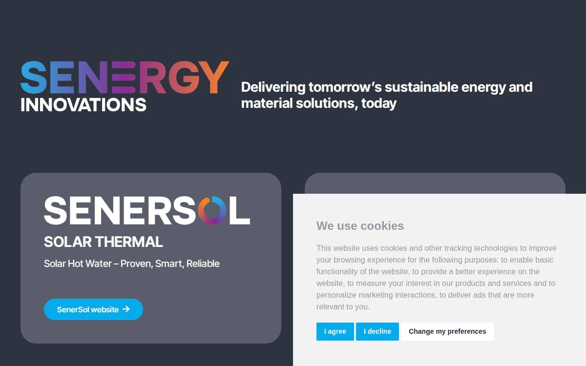 Senergy website preview
