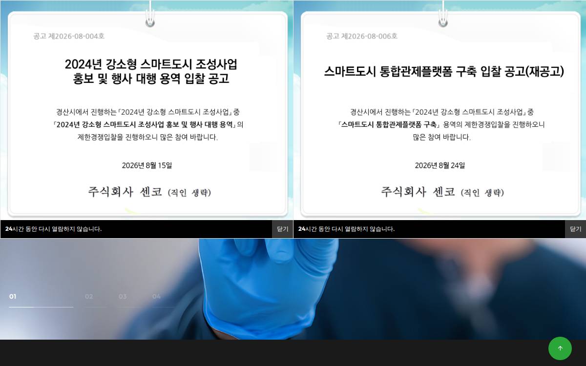 SENKO website preview