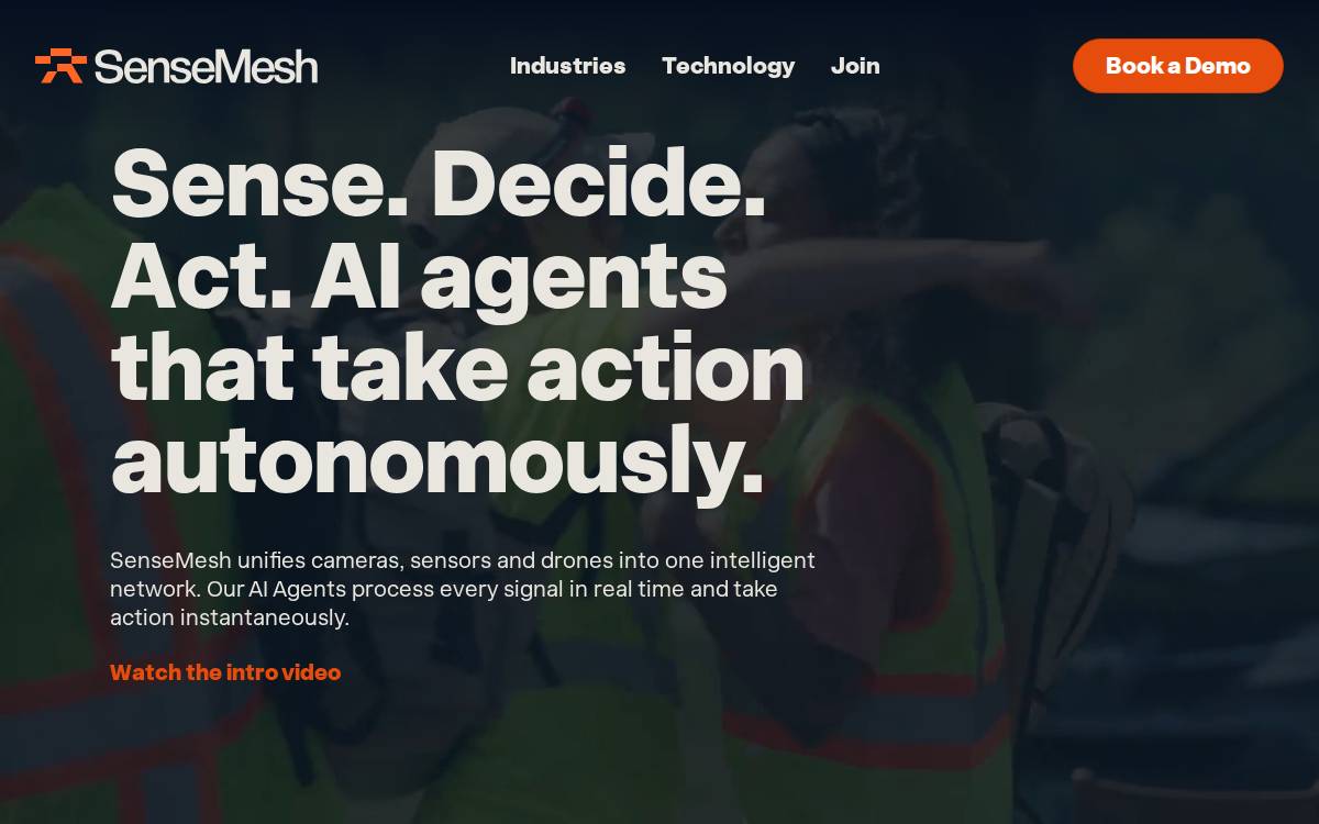 SenseMesh website preview