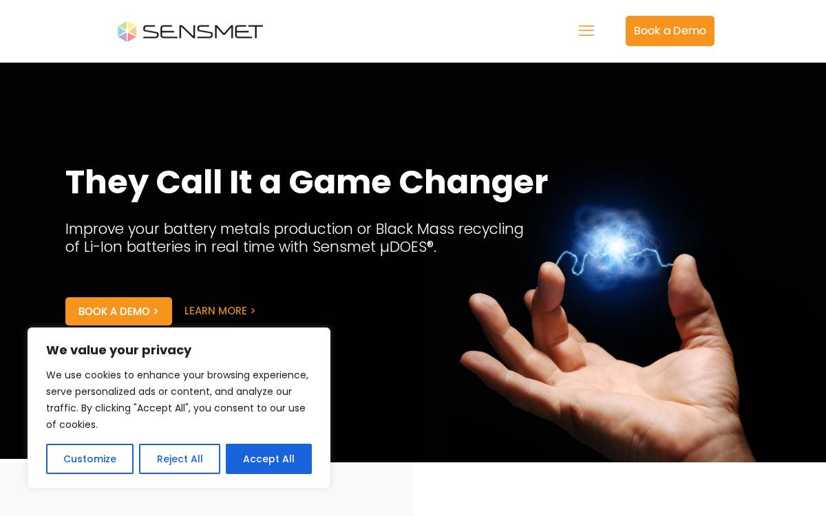 Sensmet website preview