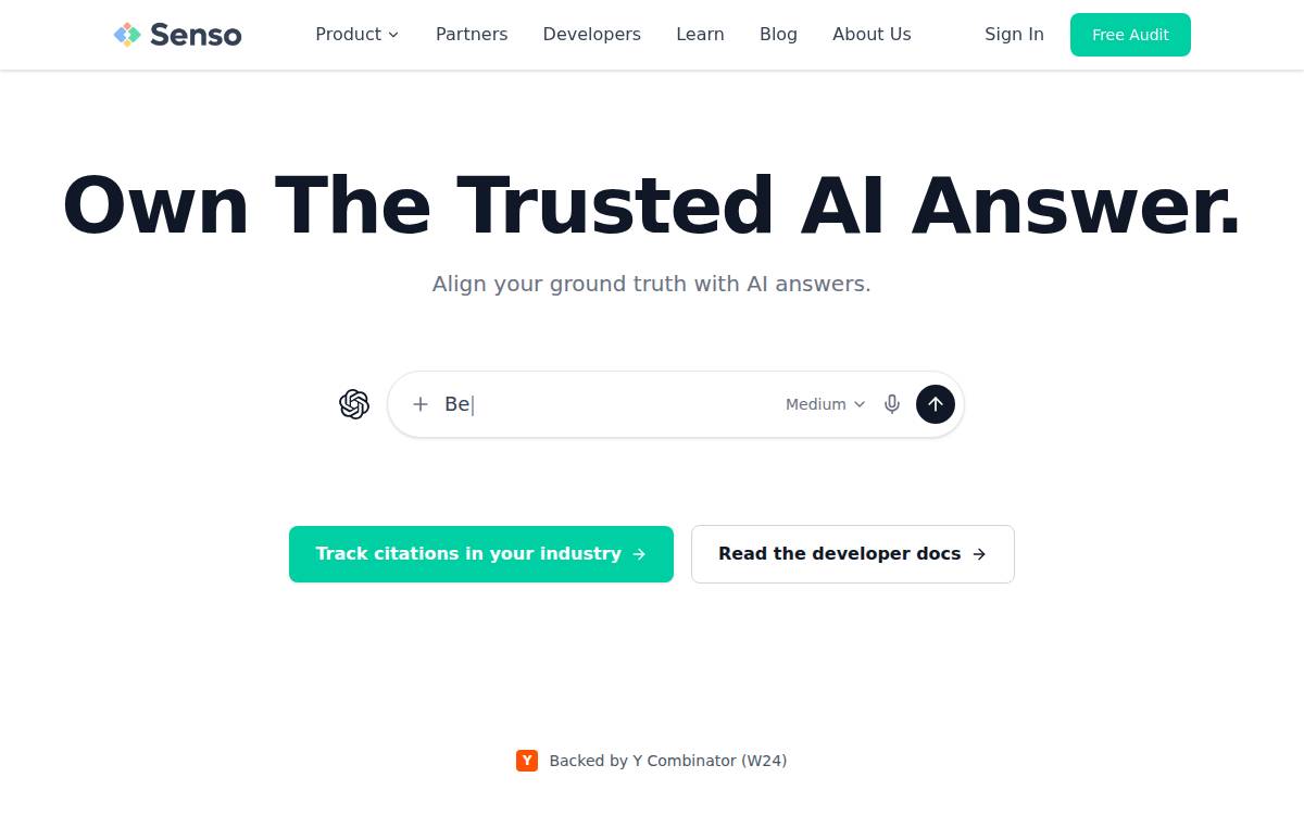 Senso.ai website preview