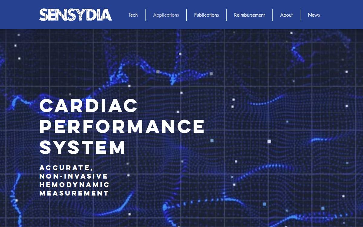 Sensydia website preview