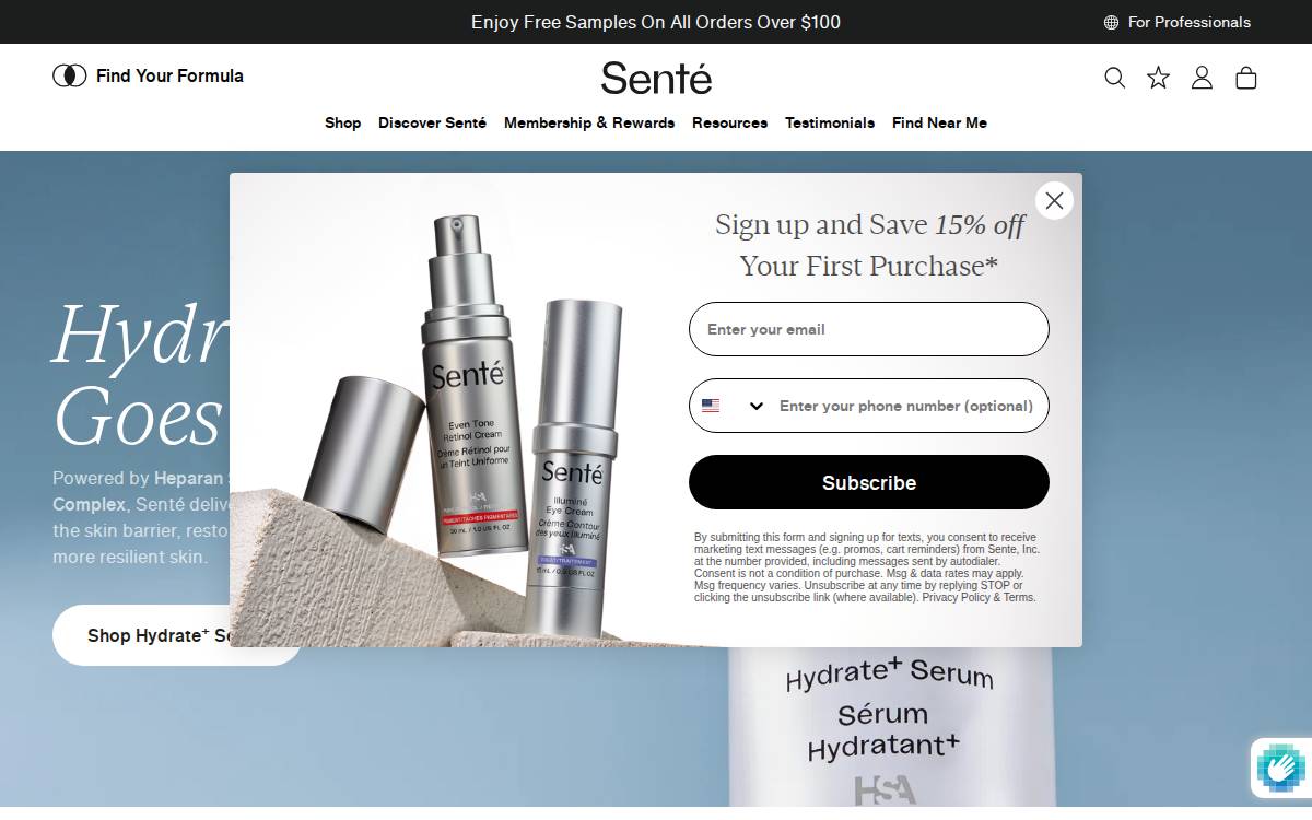 Sente website preview