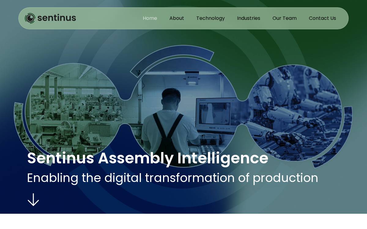 Sentinus website preview