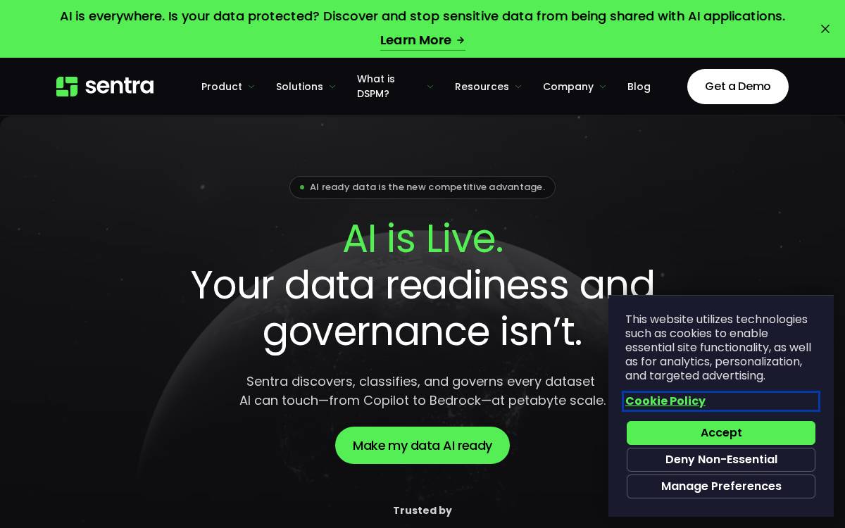Sentra website preview
