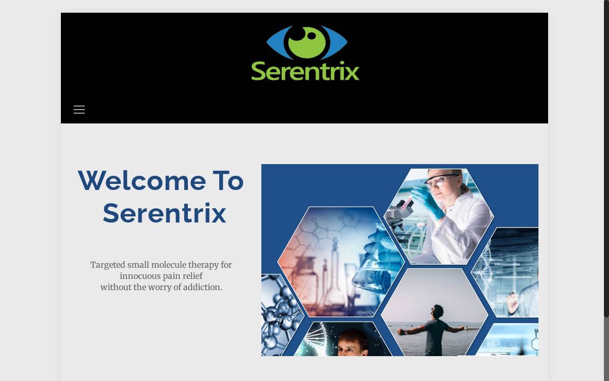 Serentrix website preview