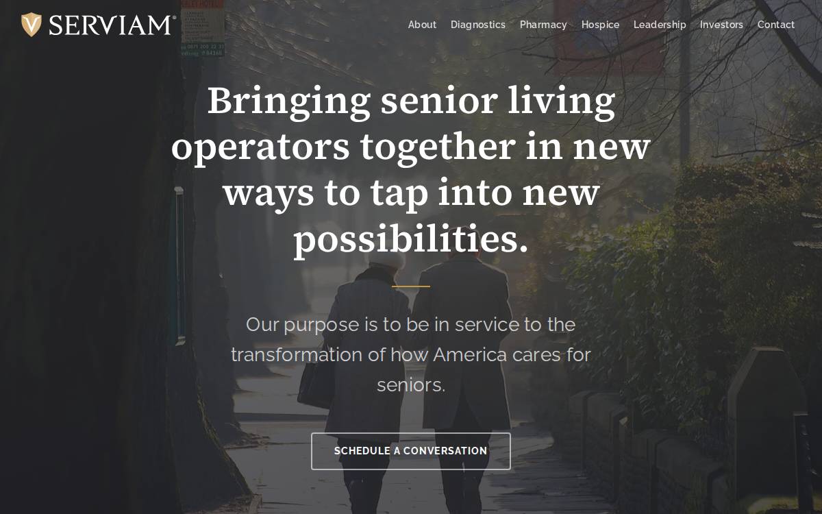Servium website preview