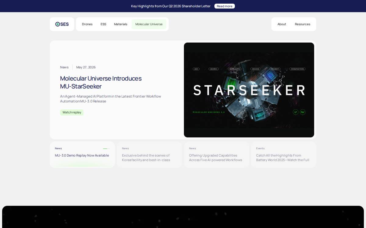 Ses website preview