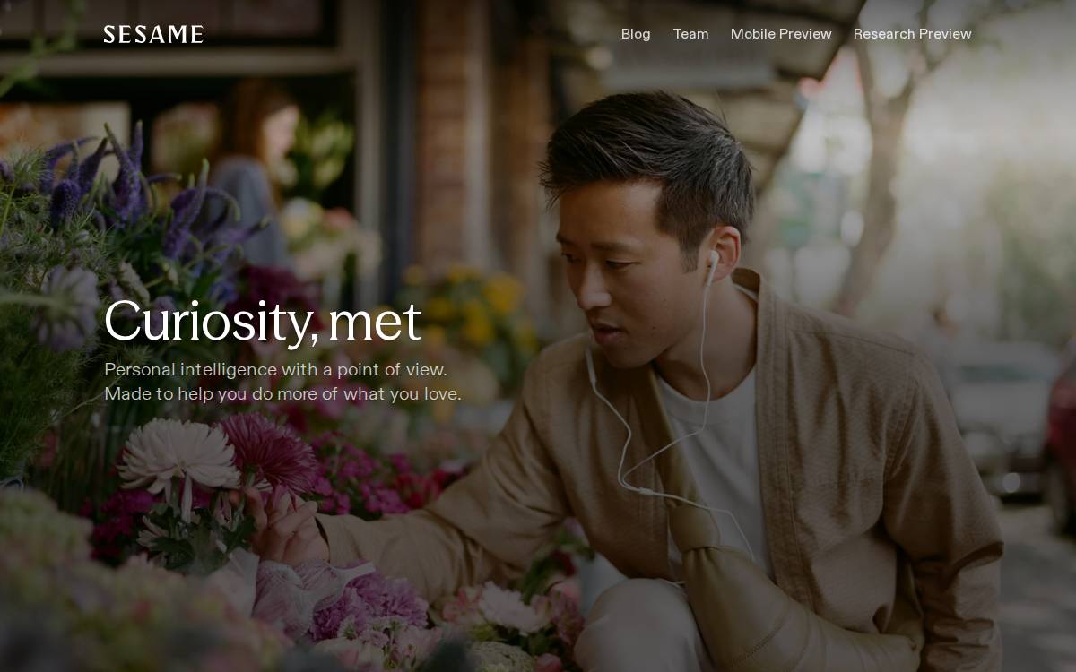 Sesame website preview