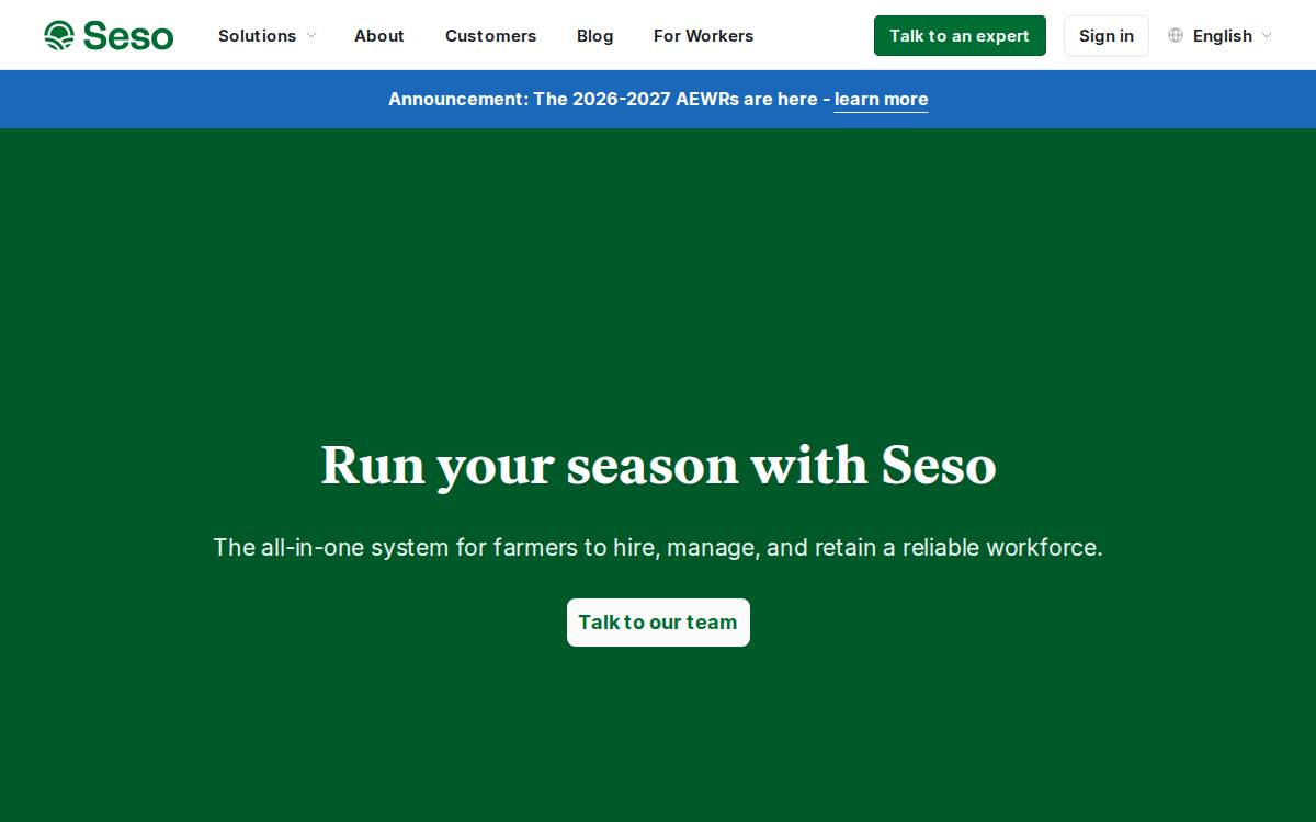 Seso website preview