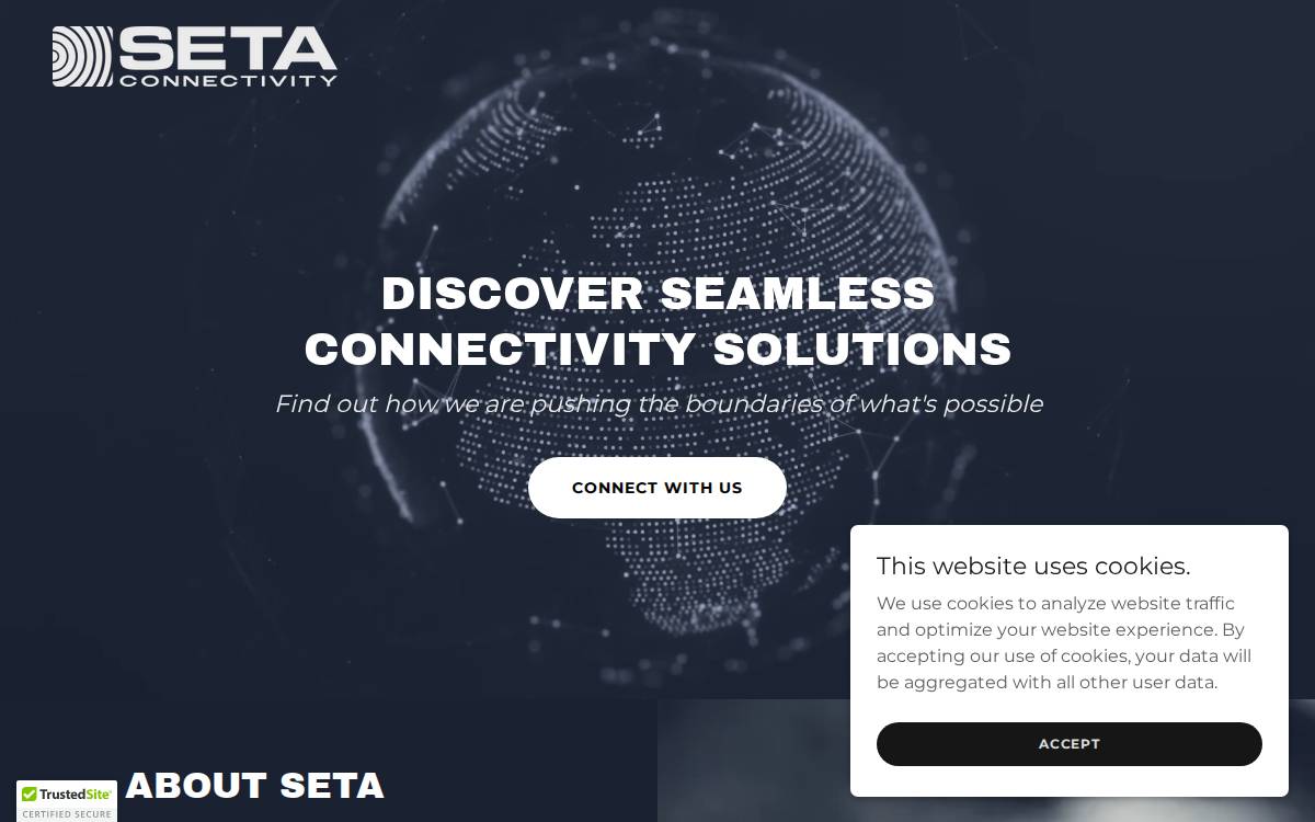 Seta website preview