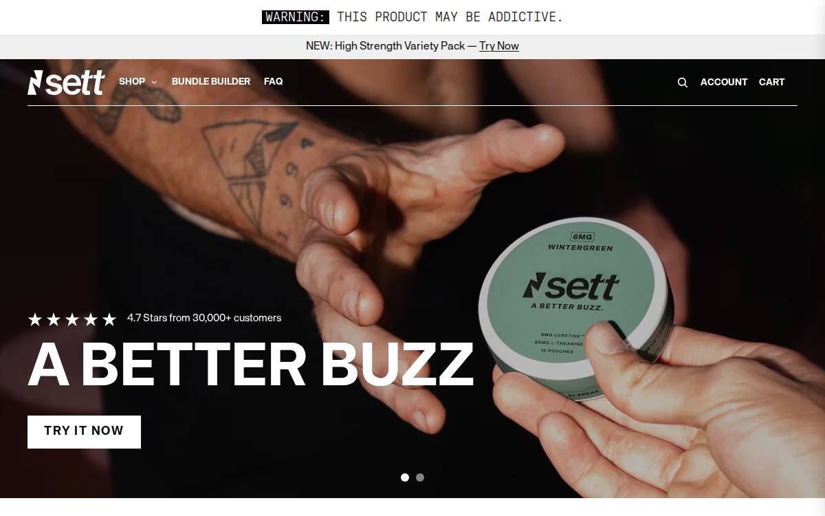 Sett website preview
