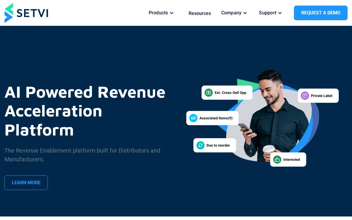 Setvi website preview