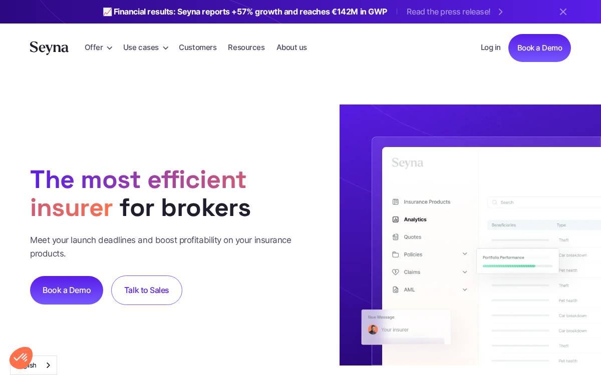 Seyna website preview