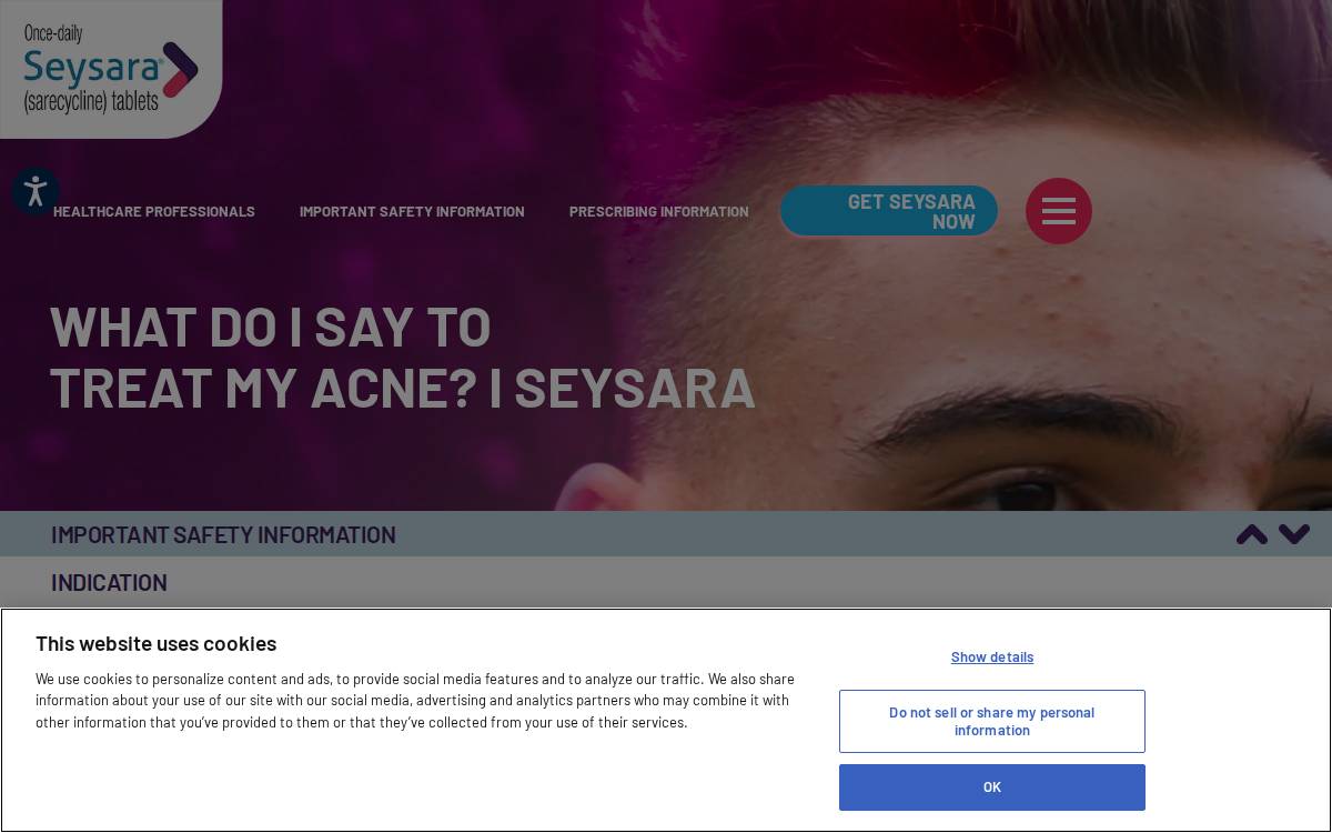 Seysara website preview