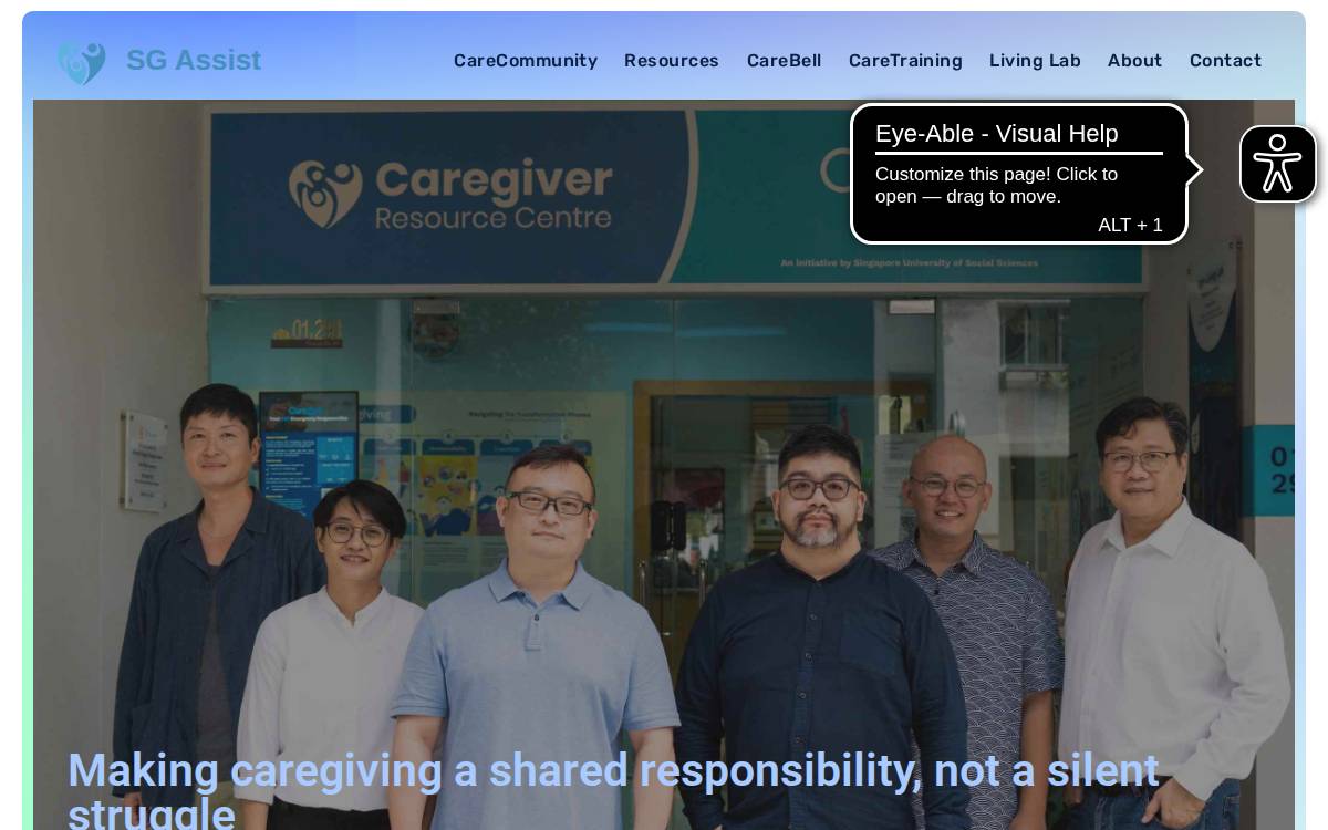 Sgassist website preview