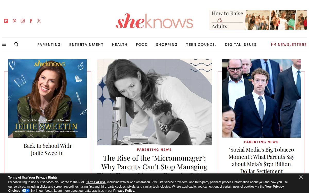SheKnows website preview