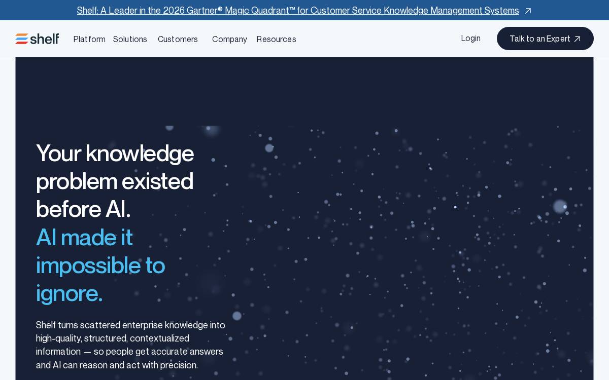 Shelf Inc. website preview