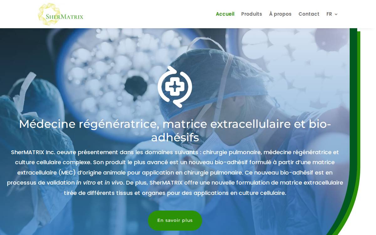 Shermatrix website preview