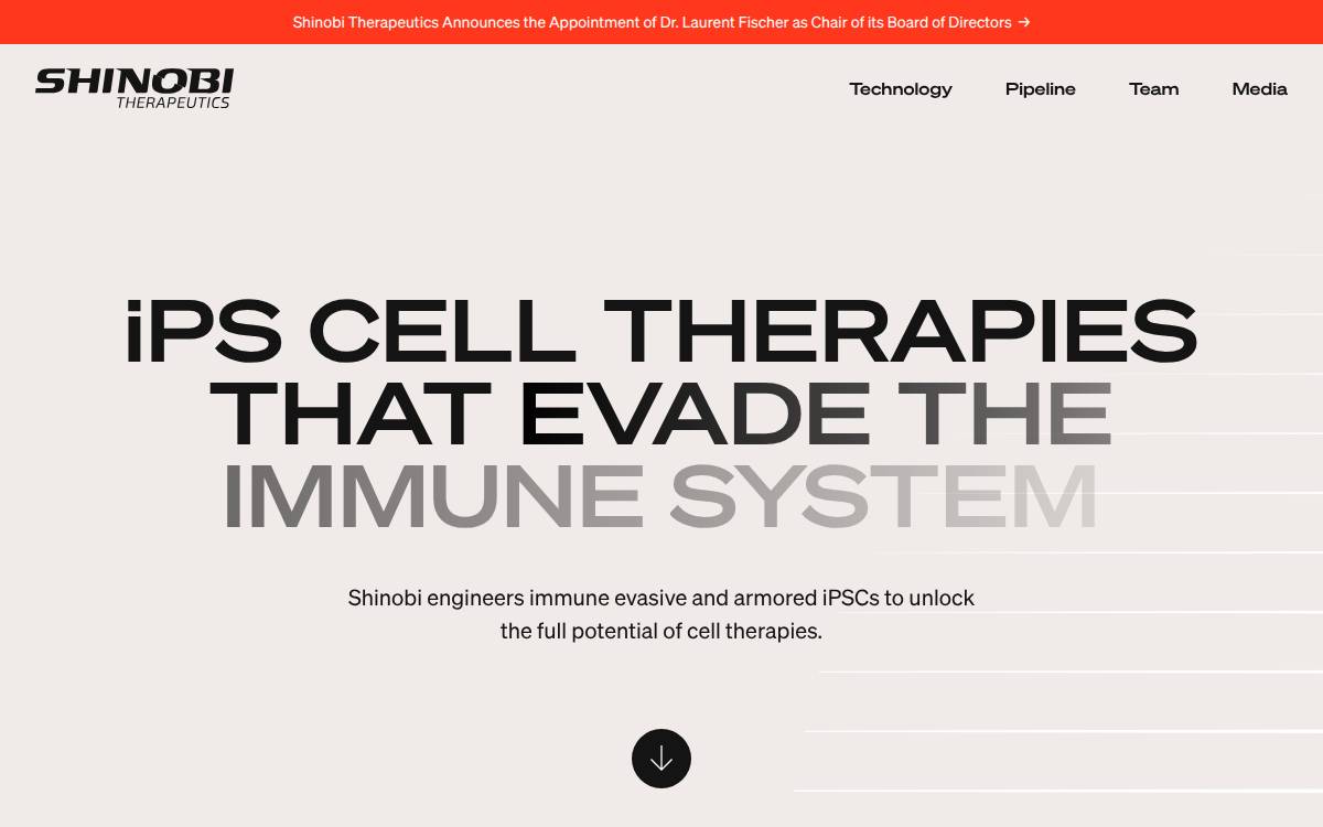Shinobi Therapeutics Inc. website preview