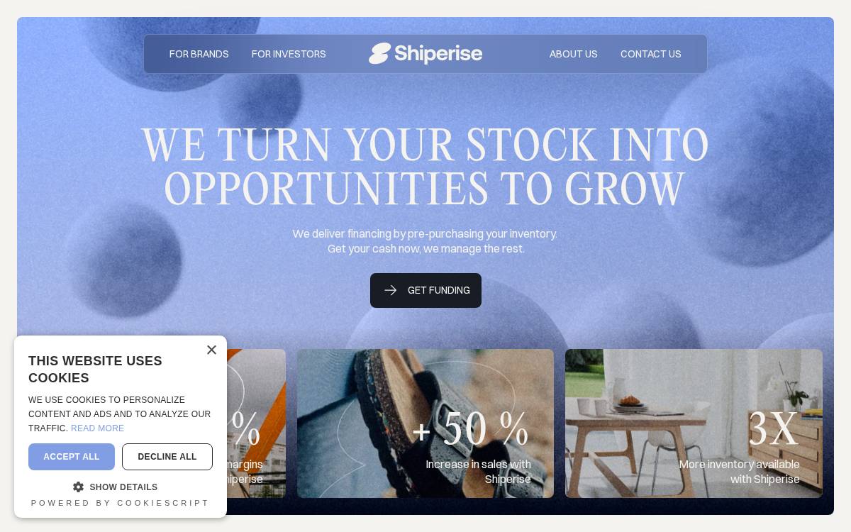 Shiperise website preview