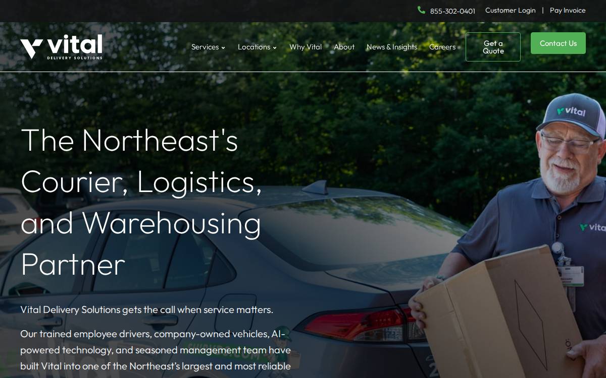 Shipvds website preview