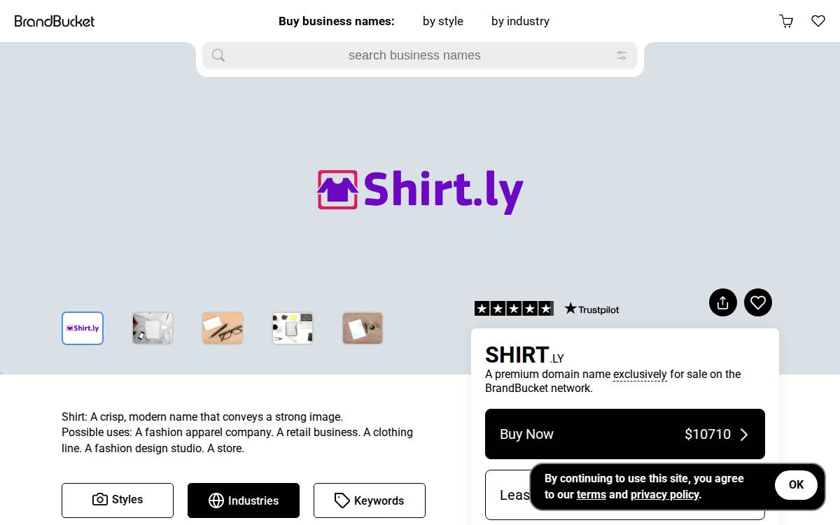 Shirt website preview