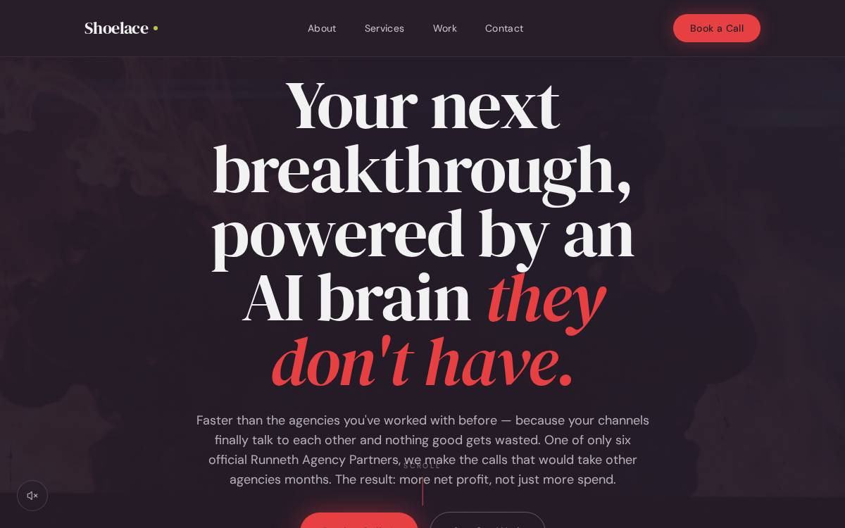 Shoelace website preview