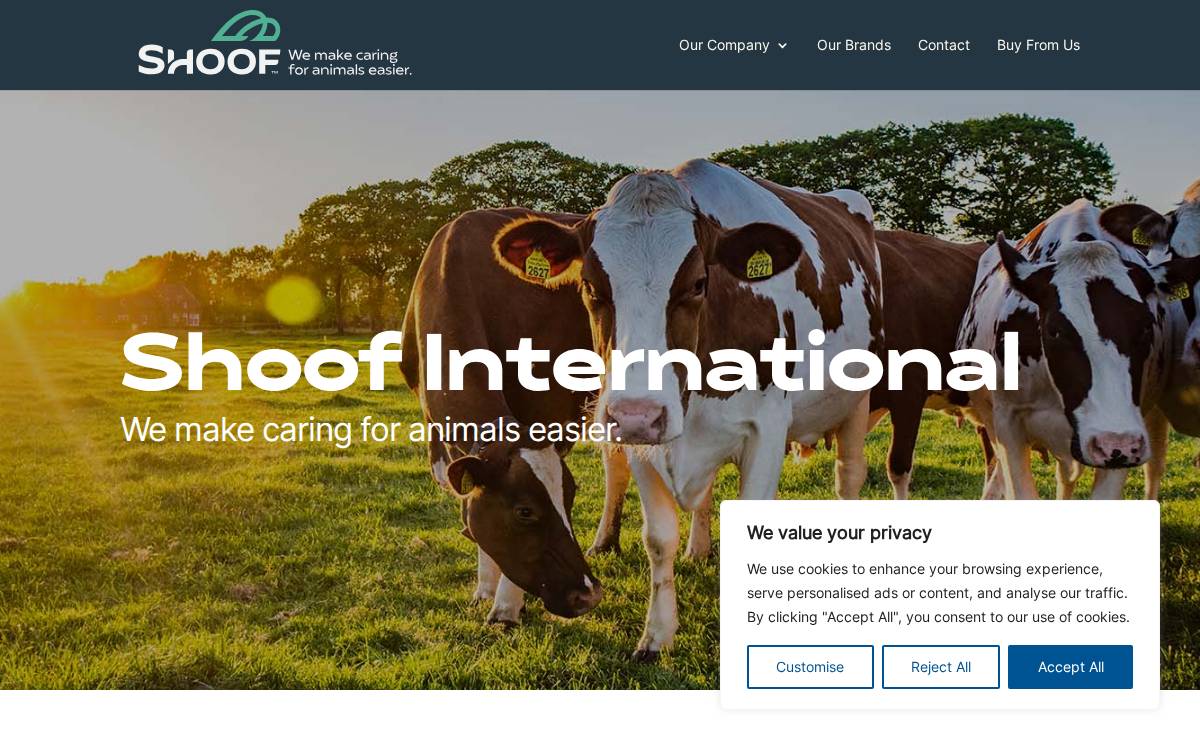 Shoof International website preview