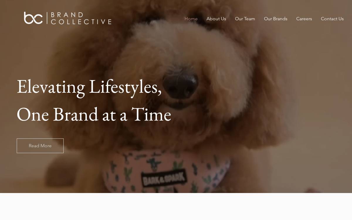 Shopbrandcollective website preview