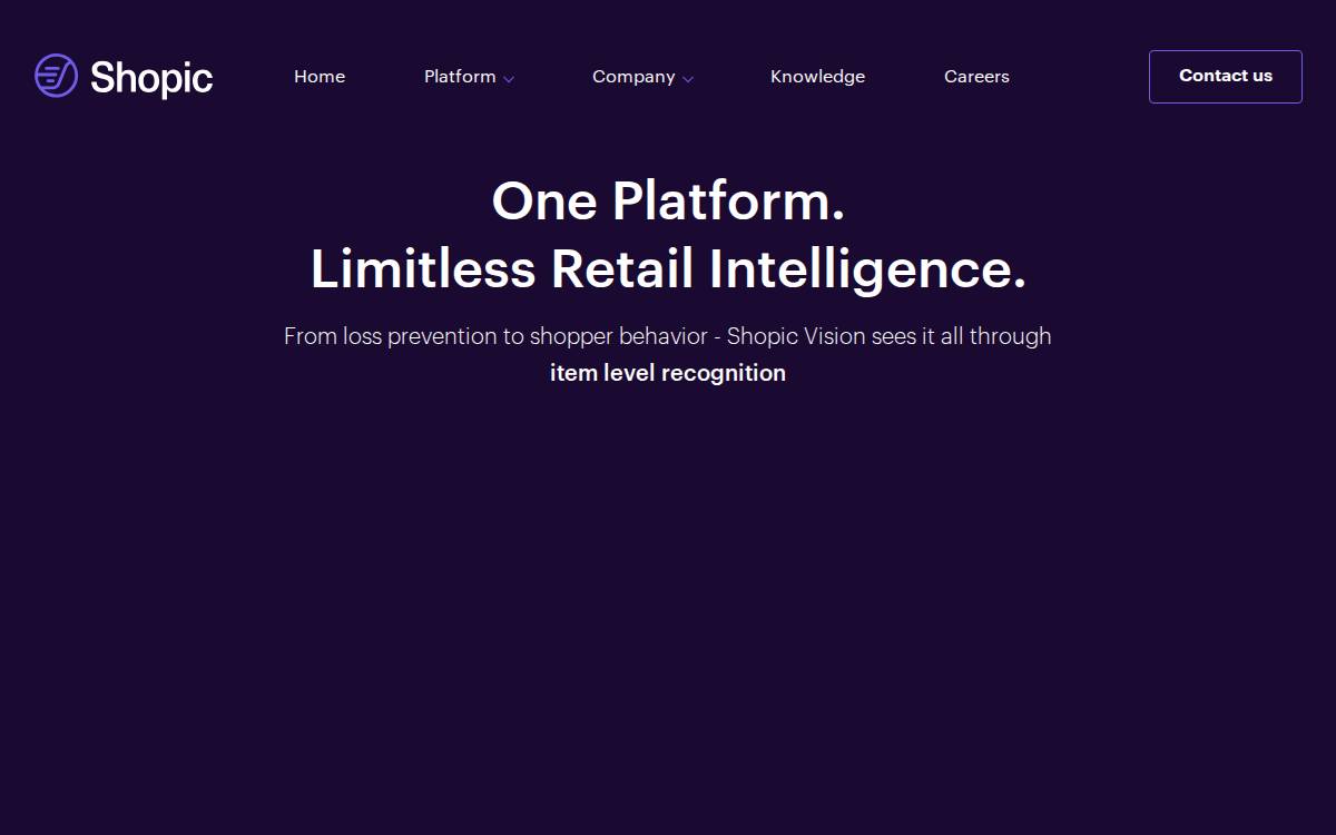 Shopic website preview