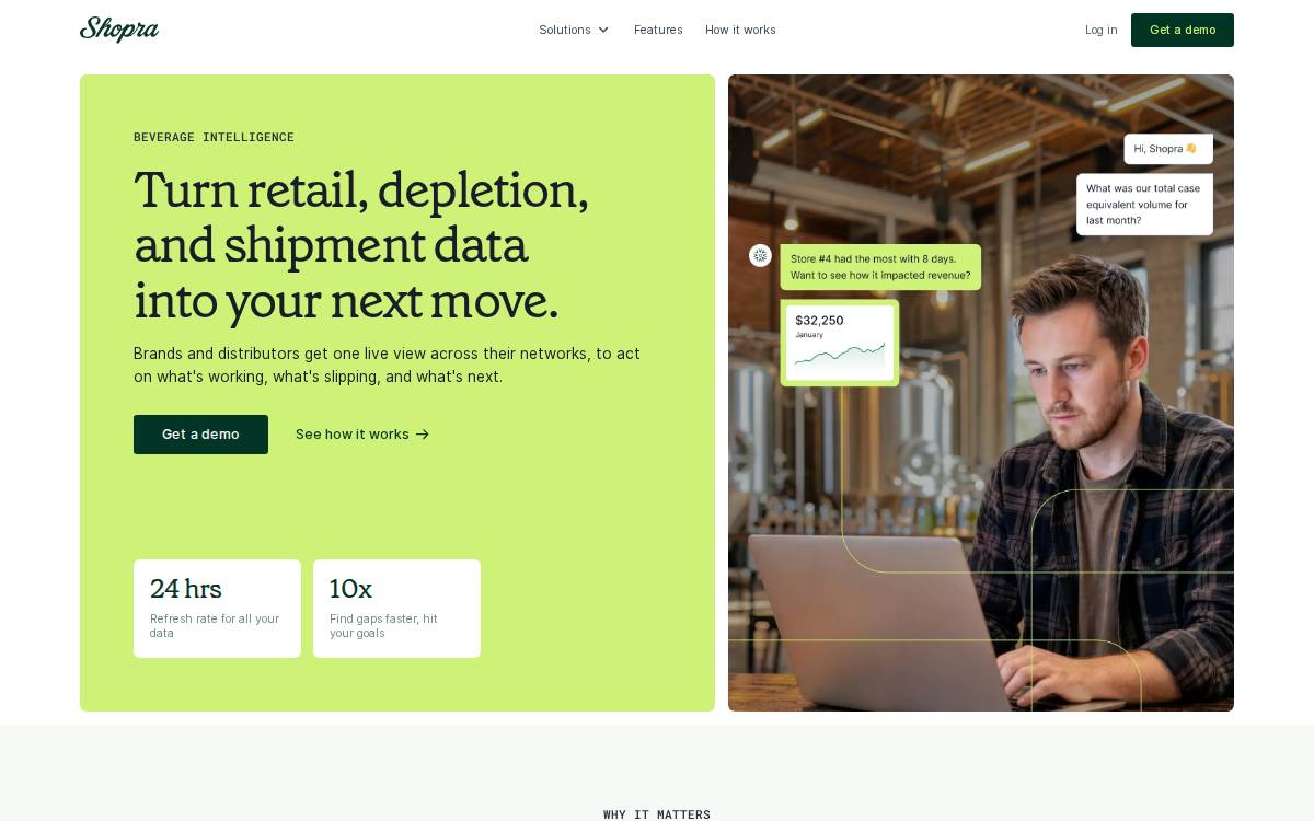 Shopra website preview