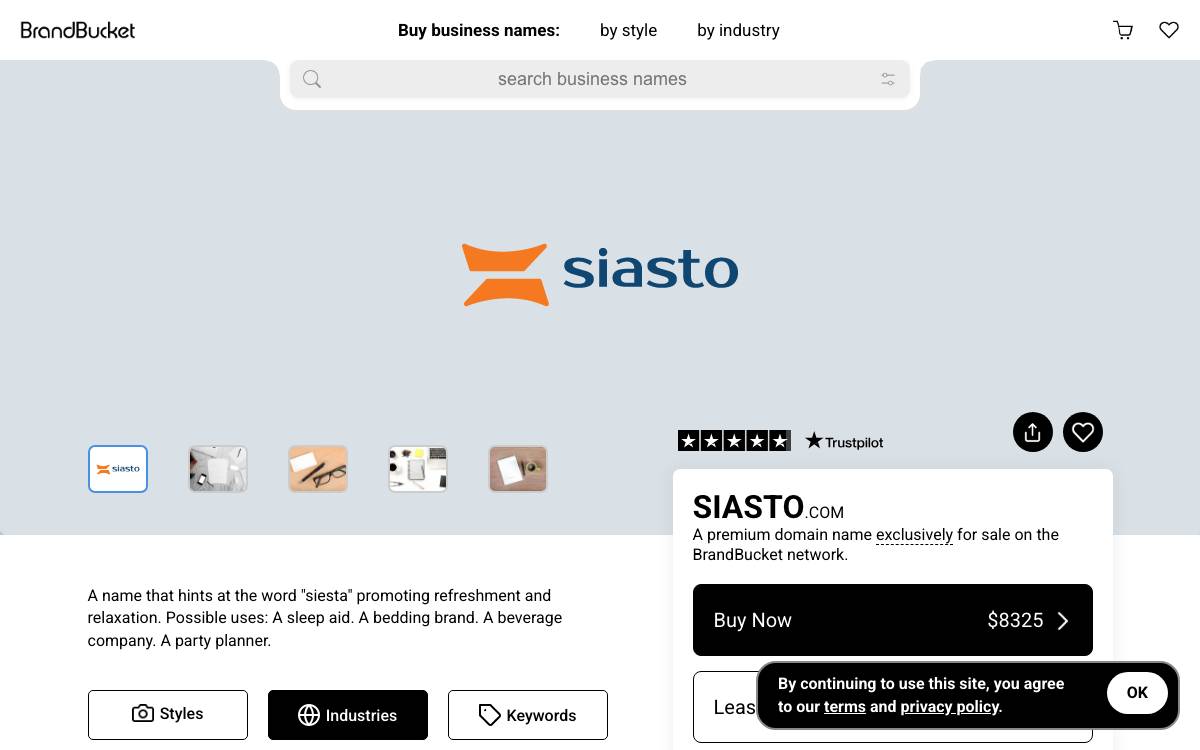 Siasto website preview