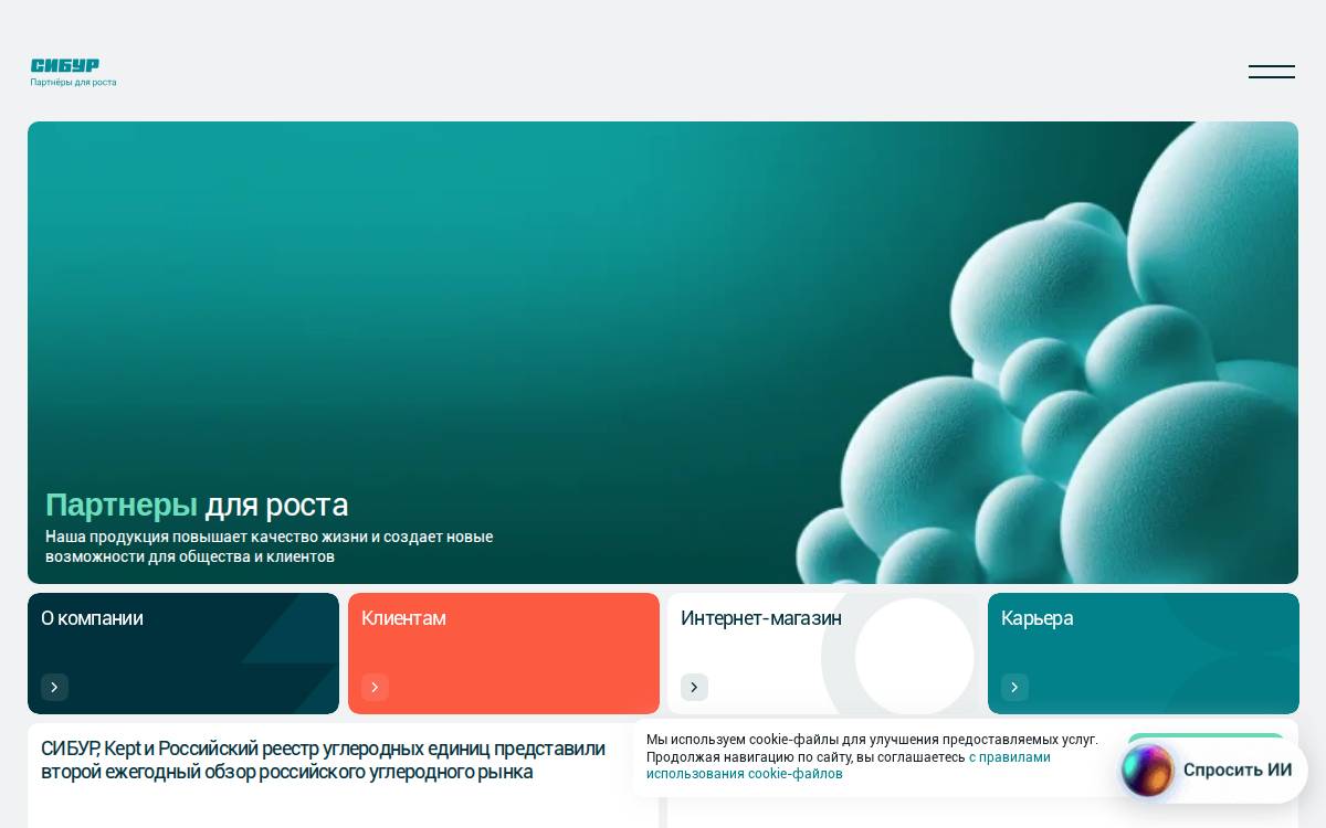 SIBUR website preview