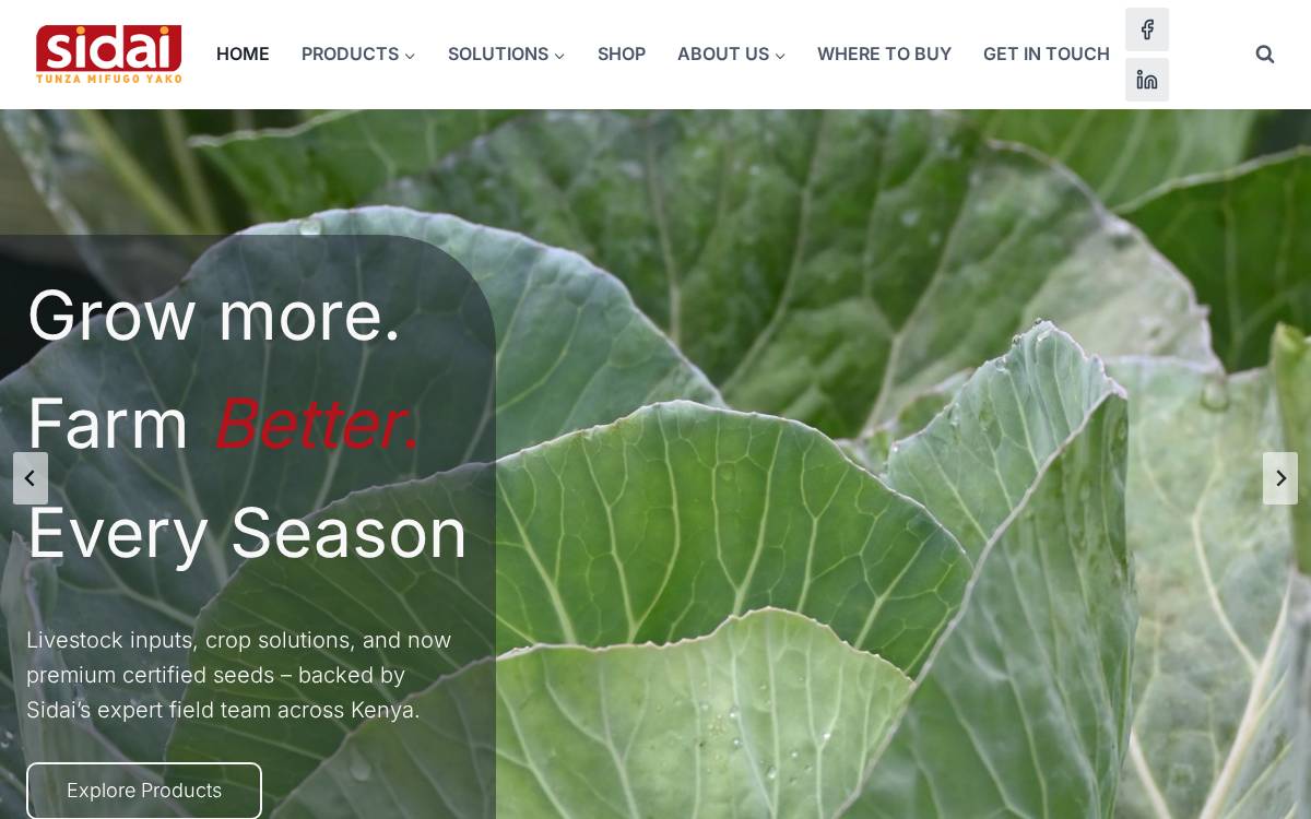 Sidai website preview