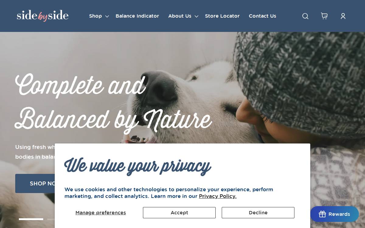 Side by Side website preview