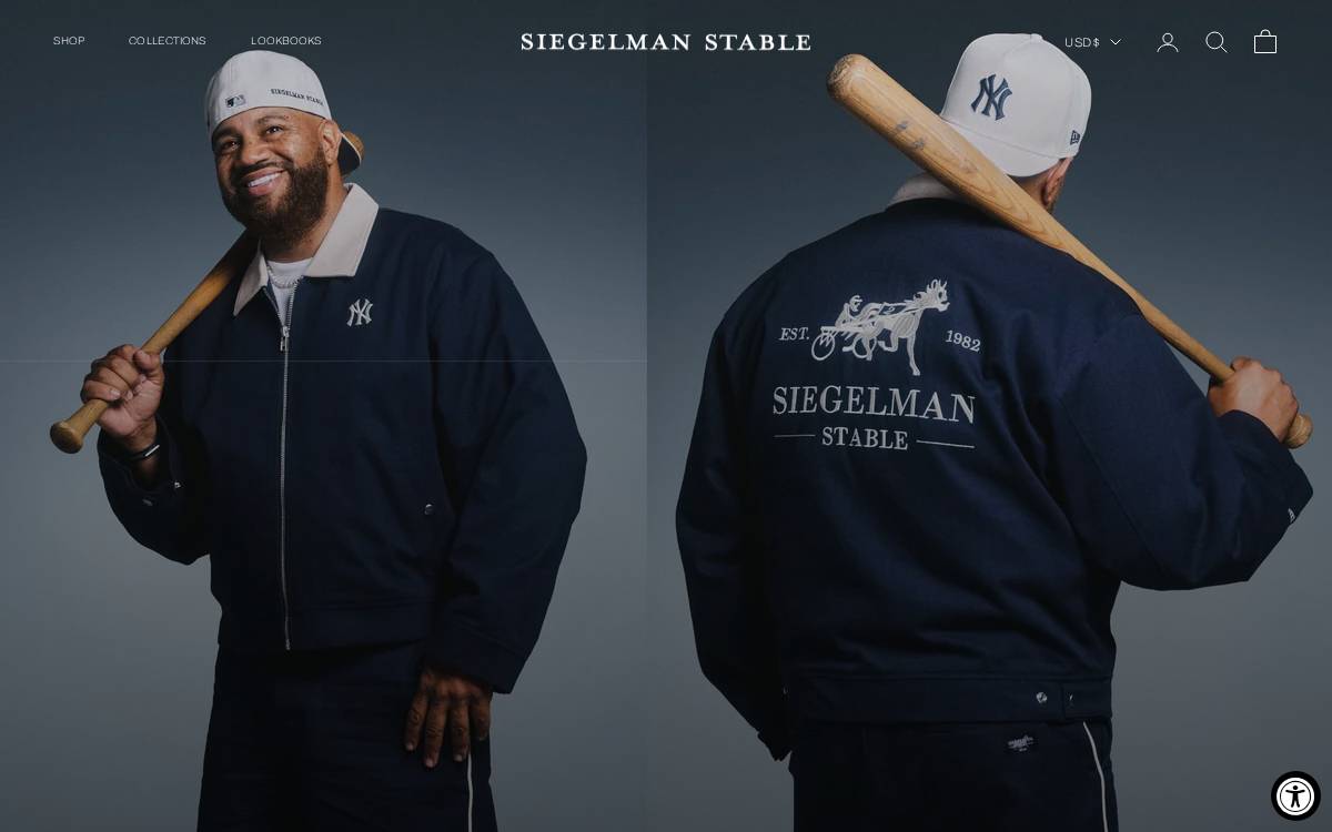 Siegelmanstable website preview
