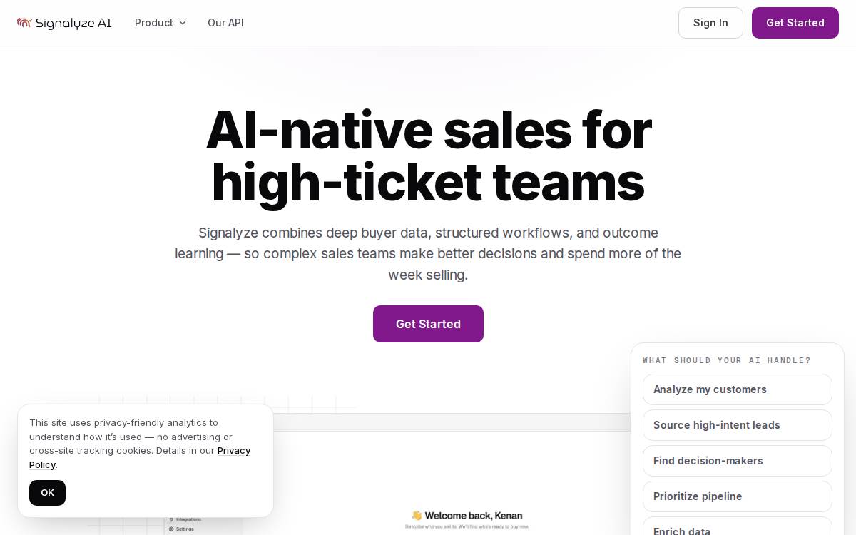 signalyzeai.com → website preview