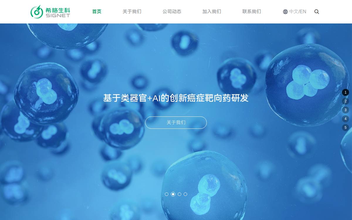 Signettx website preview