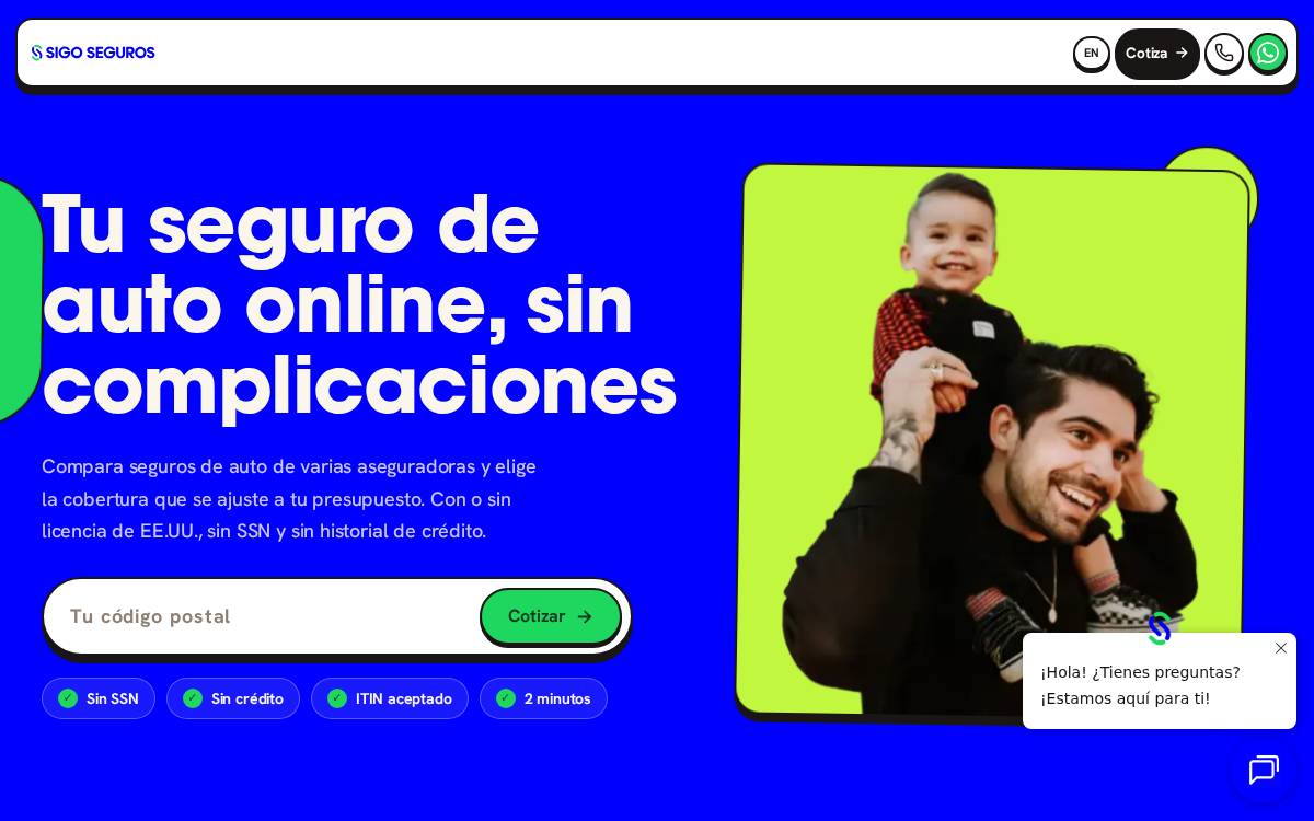 Sigoinsurance website preview